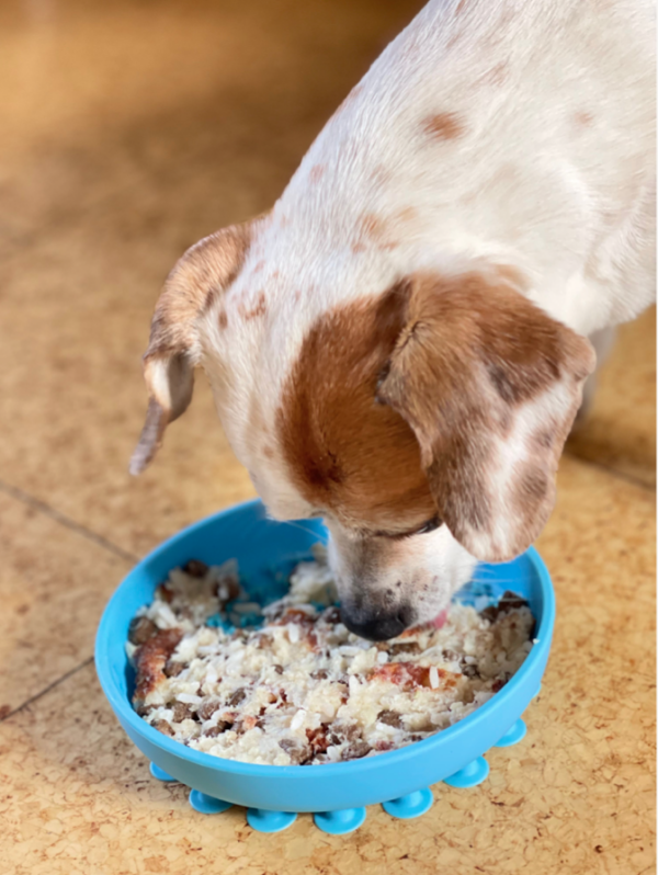 Dyb Slikkemåtte nr. 1 Aktiveringslegetøj til din hund Dyb Slikkemåtte nr. 1 Aktiveringslegetøj til din hund Dyb slikkemåtte til din hund, med en høj kant Måler 15 x 15  cm! Denne slikkemåtte er rigtig god til tørfoder og også til at bruge mere flydende væsker, da denne slikkemåtte har høj kant og er derfor god til at fryse ex et gnaveben og eller et griseører med i og som vil gøre det endnu sværere for hunden at få bugt med, der er derfor lang tygge/slikke tid i denne slikkeskål / slikkemåtte. Du kan sagtens bruge slikkemåtten med alt slags foder og eventuelt fryse den natten over, for at give din hund en større udfordring med sin mad. Takket være de forskellige teksturer kan du bruge både tør, våd og frisk mad, så som BARF, torskerogn, røget laks og andet godt. Tilføj enten tørfoder, godbidder eller vådfoder og lad din hund få sit måltid, samtidig med at den bruger sine sanser, ved at snuse og slikke, for at få maden fri. Begge dele er stressreducerende for hunden og giver derved hunden en sund måde at blive træt på. De fleste hunde elsker at arbejde for deres mad og med denne slikkemåtte kan du både give din hund foder samtidig med at du stimulerer din hund mentalt og på et og samme tid, forhindre hunden i at sluge maden for hurtigt. Gode ideer til brugen af dit aktiveringslegetøj til hunden Smør for eksempel noget vådfoder – dåsemad på, lig den i fryseren og brug den når du fx skal distrahere hunden, mens du vasker hunden, eller klipper negle eller når du har gæster og hunden skal hugge sig med noget alt imens. Slikkeskålen Slikkemåtten har en høj kant, så foderet ikke løber ud. Her får du mental aktivering kombineret med de sødeste design - what's not to like?! 🐶 Dyb Slikkemåtte nr. 1 Aktiveringslegetøj til din hund Aktiveringslegetøj til hunde - Mentalstimulerende og sjov at arbejde med. Slikkemåtter – kong – zogoflex, slowfeeder med mange andre. Det vigtigste redskab du skal investere i til din hund. Det er en fest, ren fornøjelse for den enkelte hund at få, med lækkert fyld, både vådt og tørt foder samt godbidder kan tilføres. Det er mentalstimulerende for din hund, og derved hjælper din hund til at blive naturligt træt. Det er et godt ”hemmeligt” våben, når du i din travle hverdag lige skal sikre at din hund bliver stimuleret. Flere Eksempler og ideer på/til at bruge dette fremragende aktiveringslegetøj til hunde: Vi kan med fordel bruge det til at give hvalpen/hunden mulighed for at få bearbejdet alle dagens/turens oplevelser/indtryk og herved ”putte alle indtryk i rette kasser”. (Godt at tilbyde når man kommer hjem fra en gåtur – idet hunden opfanger alt omkring sig og hermed kan det hjælpe på at give ro) Du skal have middagsgæster og hunden skal slappe af alt imens – her har hunden noget at foretage sig alt imens du varetager dine gæster som kommer til middag. Miljøtræning – kan ikke undgås – den hjælper hunden til at forholde sig neutralt til sine omgivelser, samt forbinder hunden sine omgivelser med noget positivt (lyde/bevægelser = der kommer noget positivt ind i munden) Ydermere er det et Fremragende redskab til din lydtræning og miljøtræning. Lydtræning er 80% af vores træning og prægning af hundens selvtillid og deraf en hund i balance. Produktbeskrivelse: Slikkemåtten er fremstillet i fødevaregodkendt samt BPA-fri silikone. Slikkemåtten/slowfeeder måler 15 x 15 cm Non-stick materiale Let at rengøre Kan vaskes i opvaskemaskinen Tåler frys BPA-fri Bidrager til mental sundhed hos hunden Ideer til andet aktiveringslegetøj og eller foder/godbidder som du med fordel kan bruge: Aktiveringslegetøj: DODECABALL aktiveringslegetøj – MAXI 8 cm Pink Jolly-Tuff – Lille 11,5cm DIABALL aktiveringslegetøj – Mini 8 cm Grøn OCTABALL aktiveringslegetøj – MAXI 14.5cm Blå Foder: Puppy Lamb & Potato (12 kg) – Chicopee Holistic Nature Line – Kornfrit foder Adult Ostrich & Potato (semisoft) 12 kg – Chicopee Holistic Nature Line Godbidder: Chicopee Dog Adult Poultry & Salmon 1 x 400 gram Chicopee Joint Bites med Grønlæbet Musling & Rejer 350g Woolf – Goat-Ged semi soft 100g